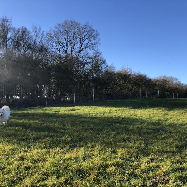 Fido's Field photo