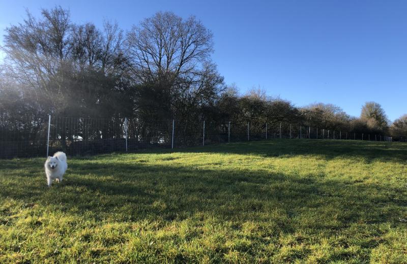 Fido's Field, Bradfield, RG7 6DF