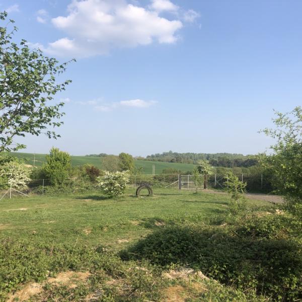 Fido's Field photo