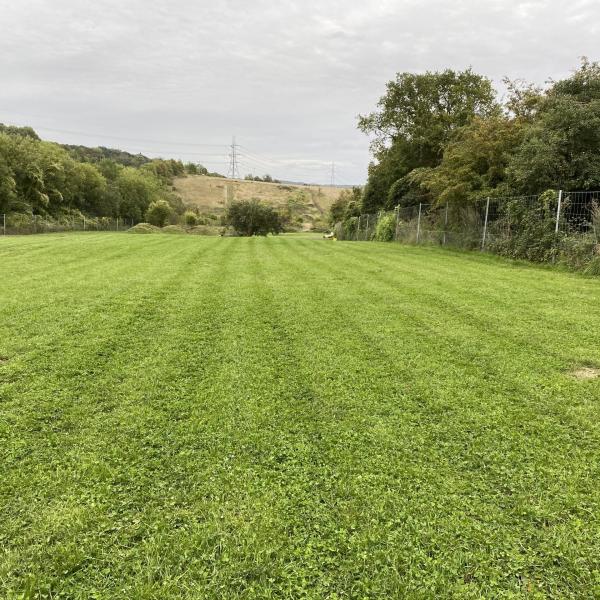 Fido's Field photo