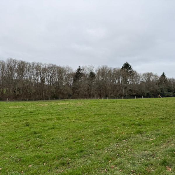 Midgham Meadows photo