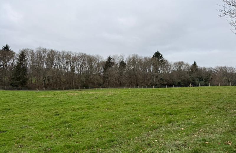 Midgham Meadows, Midgham, RG7 5TX