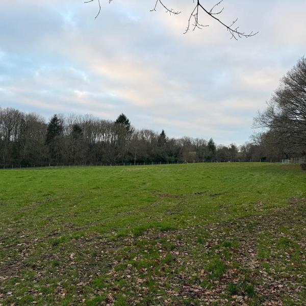 Midgham Meadows photo
