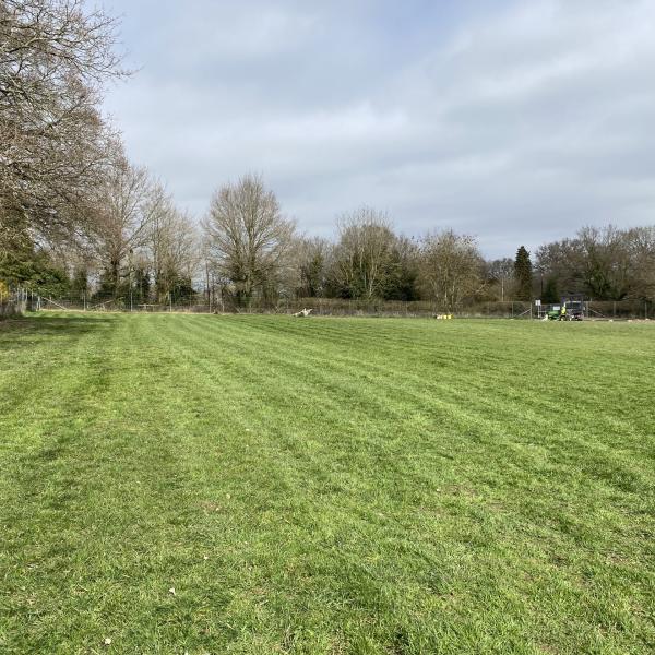 Paws Paddock photo