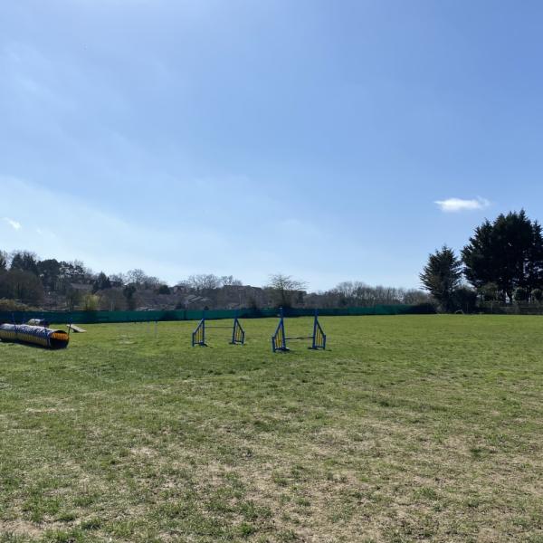 Paws Paddock photo
