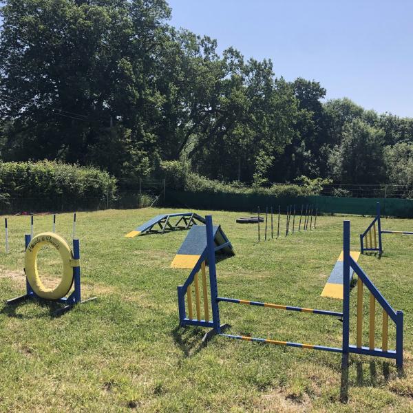 Paws Paddock photo